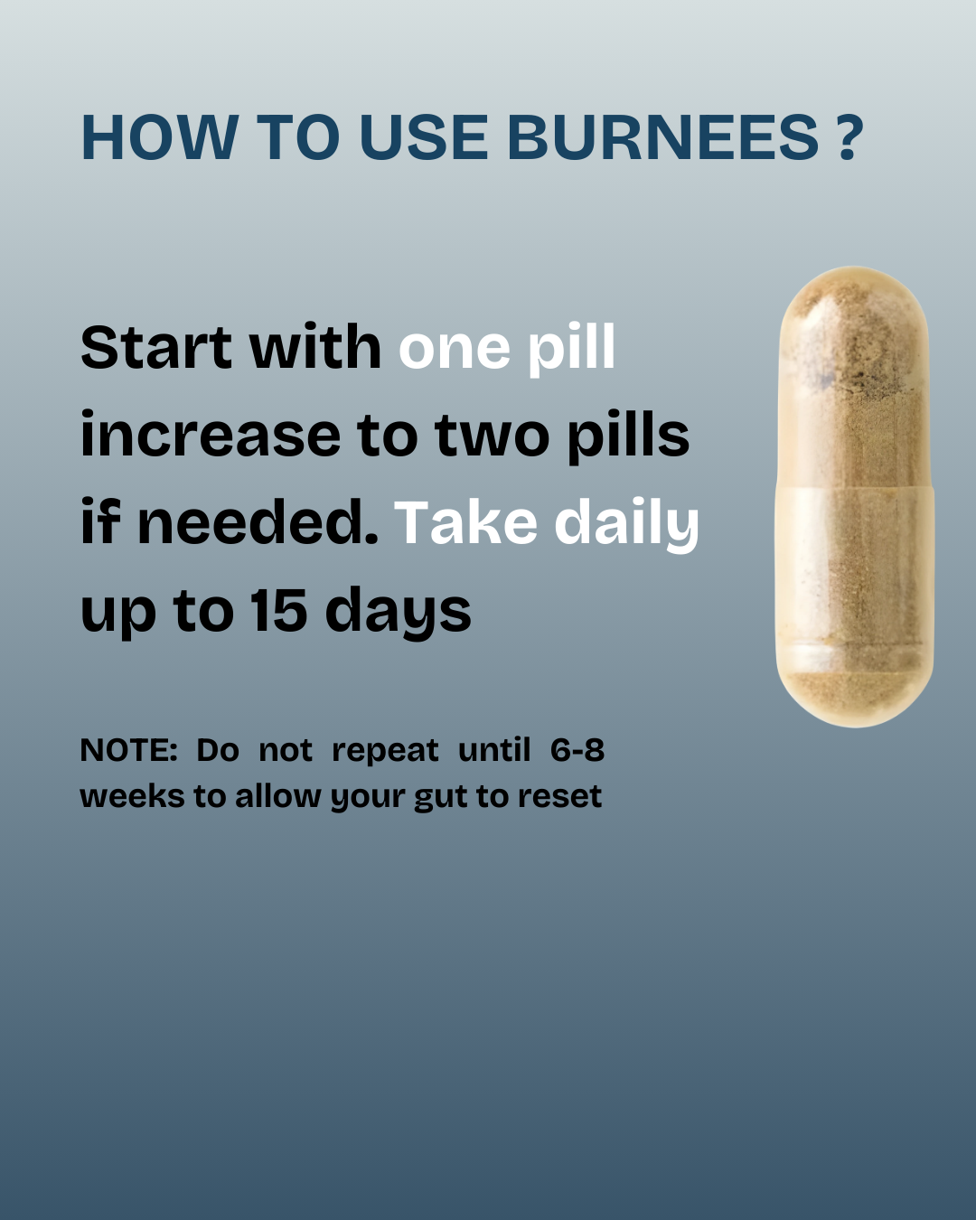 Burnees Natural 15 Days Cleanse