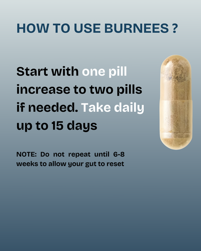 Burnees Natural 15 Days Cleanse